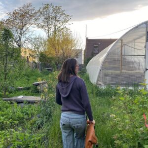 urban gardens