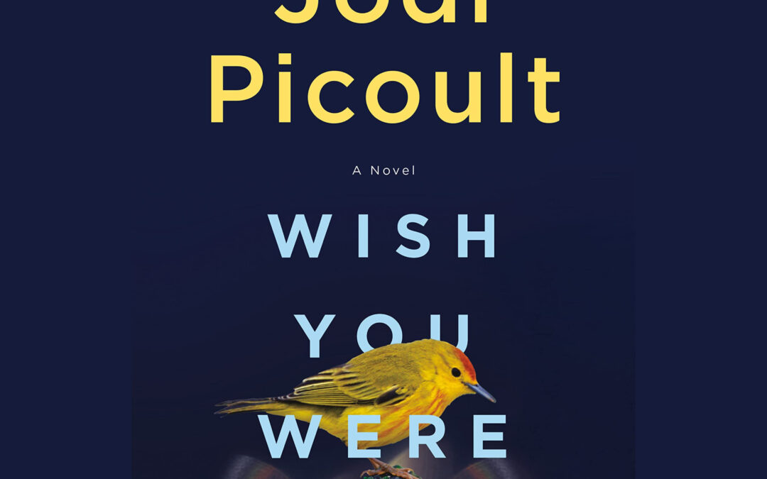 #1746: Jodi Picoult’s “Wish You Were Here” | The Book Show