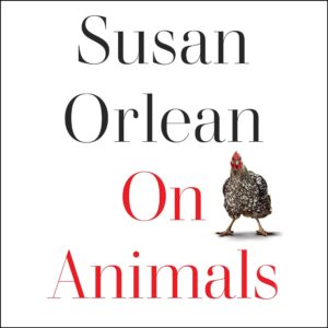 Book cover for "On Animals" by Susan Orlean. Author's name in black text, title in red text, one hen standing on a white background
