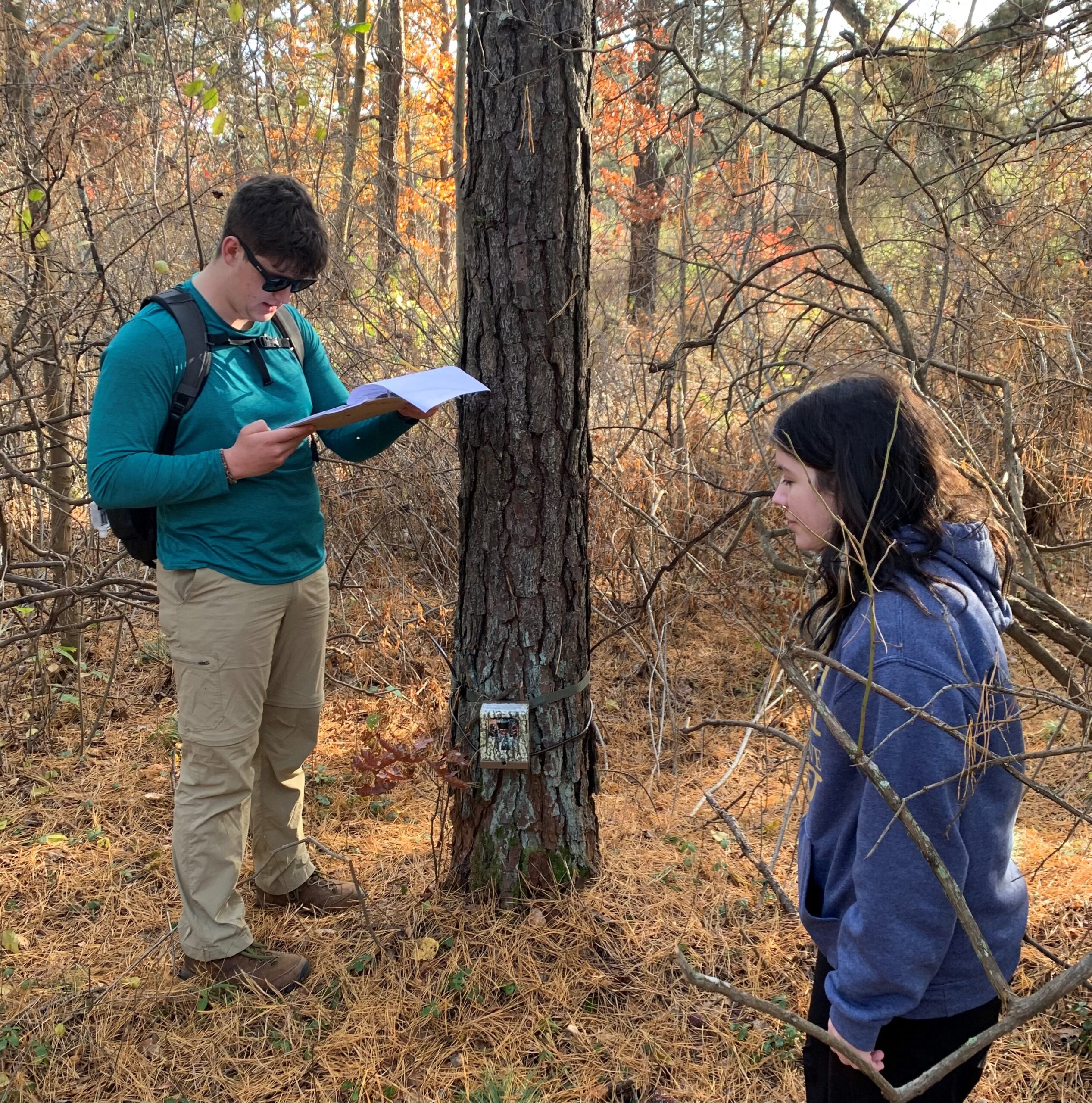 Trail cameras and parasitoid wasps