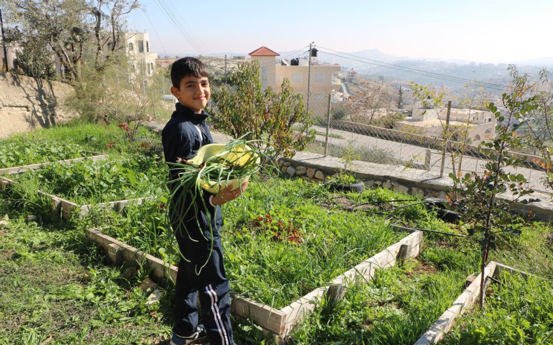 A child participates in a lesson at the Palestine Institute for Biodiversity and Sustainability in Bethlehem