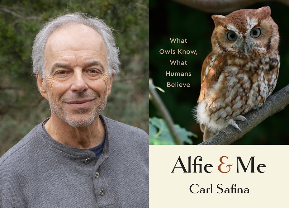 Carl Safina is the author of Alfie & Me: What Owls Know, What Humans Believe