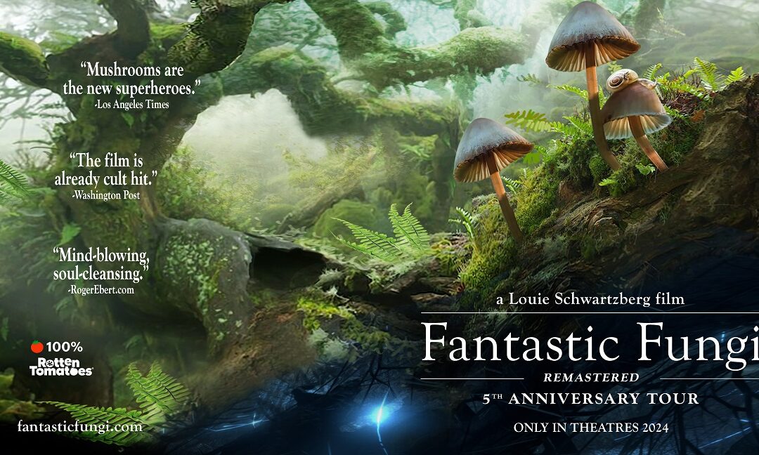 A promotional image for Fantastic Fungi