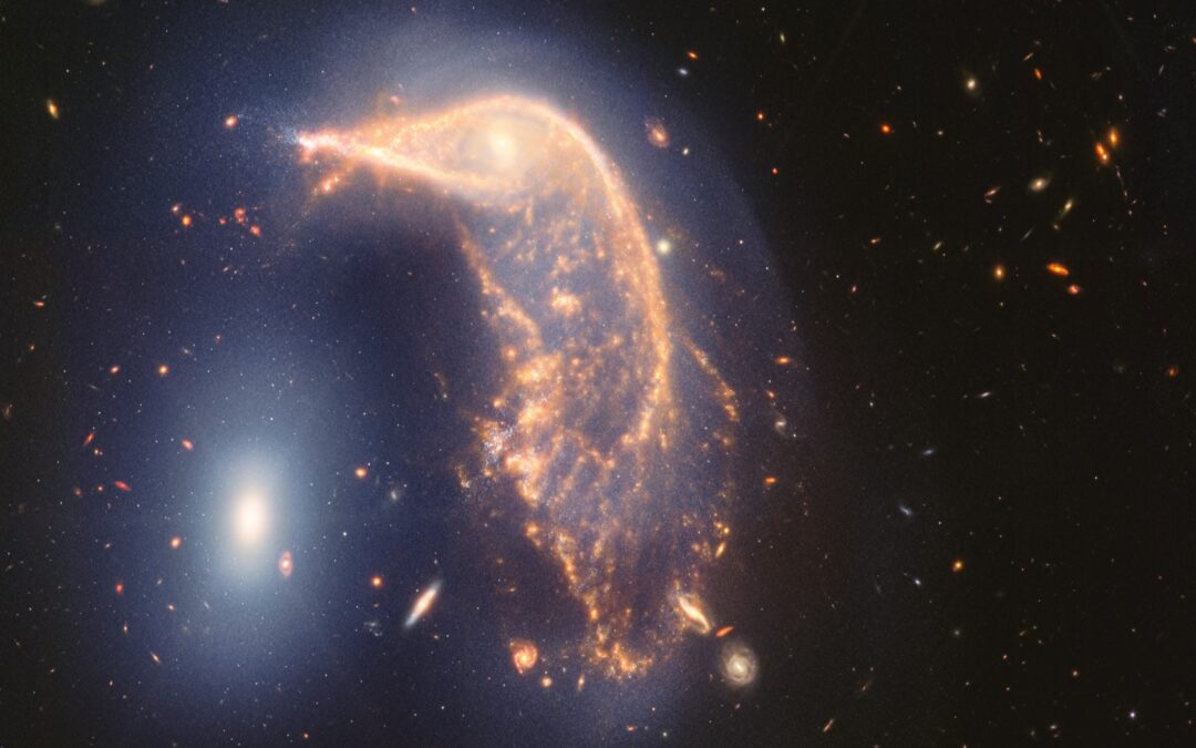 This new Webb image shows two galaxies: a Penguin (NGC 2936) guarding an Egg (NGC 2937).