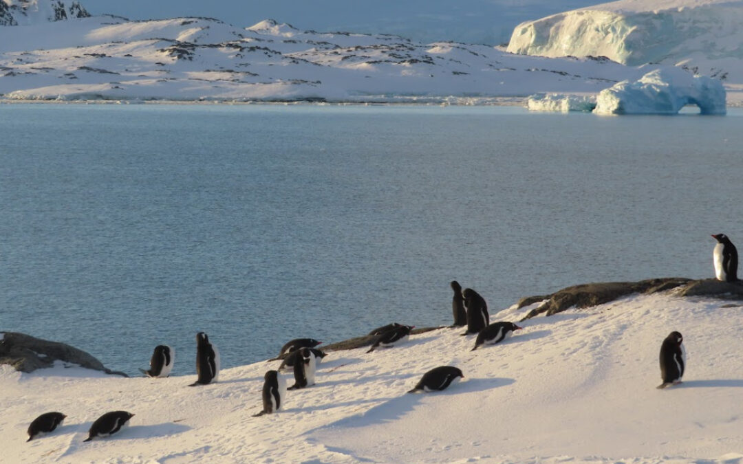 Sea ice and classroom tech