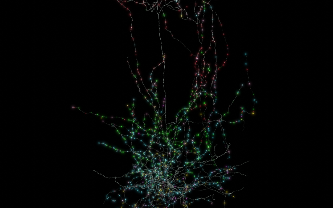 The MICrONS project and mapping the brain