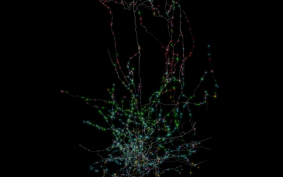 The MICrONS project and mapping the brain