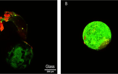 Microplastics and robotic materials
